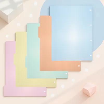 10 шт. пластиковых разделителе – обзор и цена Index Tab Divider